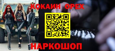 гашик Гатчина