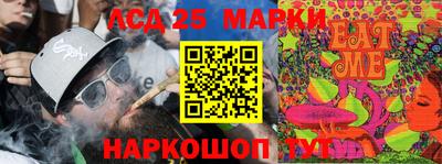 гашик Гатчина