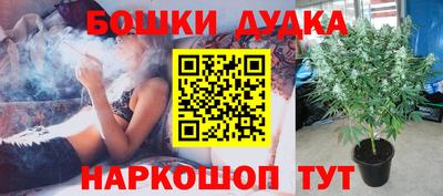 крисы Гай