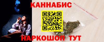 крисы Гай