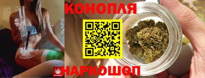 гашик Гатчина