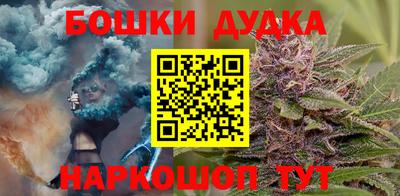 крисы Гай