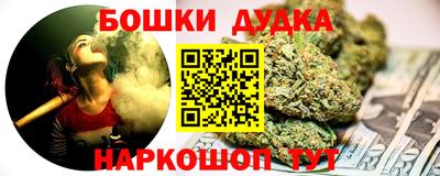 гашик Гатчина