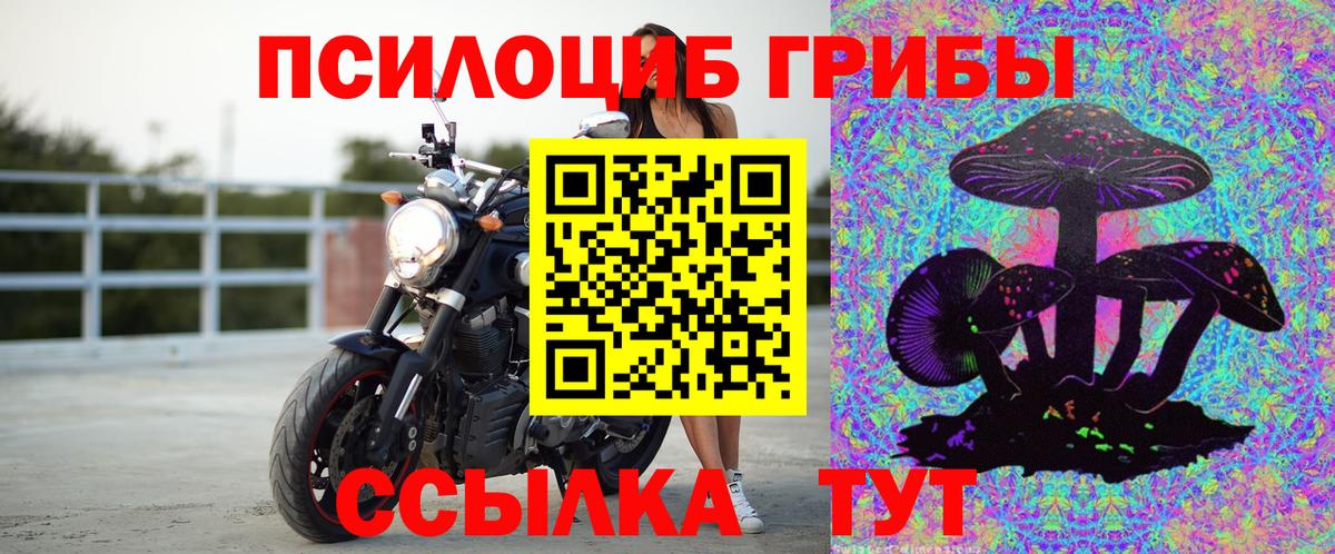 Галлюциногенные грибы Psilocybe Пугачёв