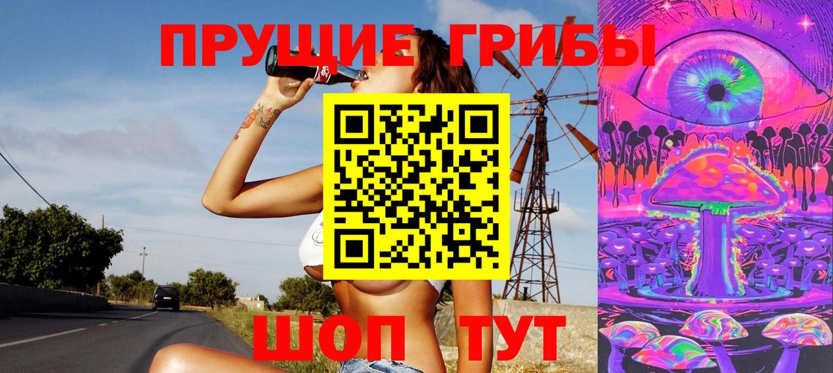 Пугачёв  Псилоцибиновые грибы мицелий  Вход с VPN 